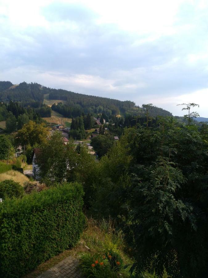 Apartman Kral Albrechtice v Jizerskych horách Exterior foto